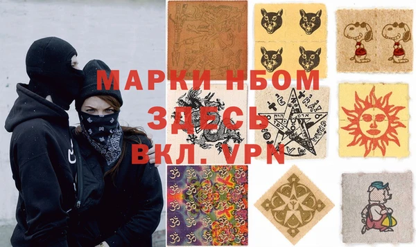ПСИЛОЦИБИНОВЫЕ ГРИБЫ Абаза