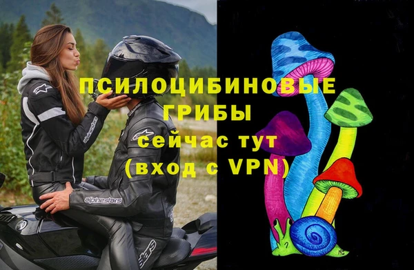 МДПВ Абдулино