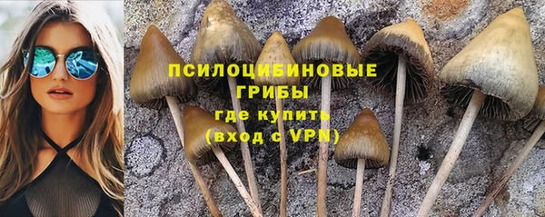 МДПВ Абдулино