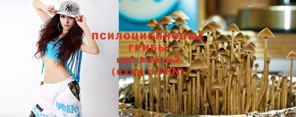 МДПВ Абдулино