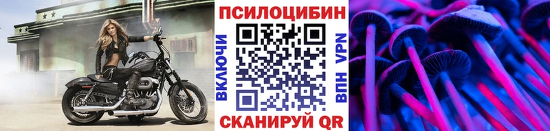 магазин продажи наркотиков  Кириллов  Псилоцибиновые грибы мицелий 